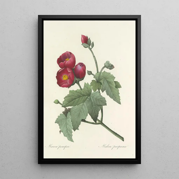 Choix des plus belles fleurs pl 047 - Pierre Joseph Redouté — ingelijst kunstwerk aan de muur