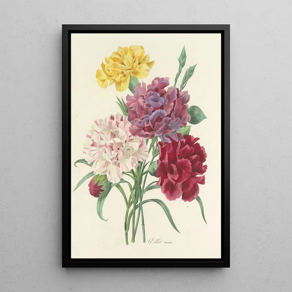 Choix des plus belles fleurs pl 057 - Pierre Joseph Redouté — ingelijst kunstwerk aan de muur