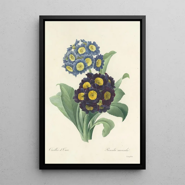 Choix des plus belles fleurs pl 059 - Pierre Joseph Redouté — ingelijst kunstwerk aan de muur