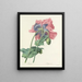 Keuze van de mooiste bloemen pl 063 - Pierre-Joseph Redouté — ingelijst kunstwerk aan de muur