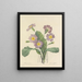 Keuze van de mooiste bloemen pl 082 - Pierre-Joseph Redouté — ingelijst kunstwerk aan de muur