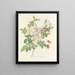 Keuze van de mooiste bloemen pl 098 - Pierre-Joseph Redouté — ingelijst kunstwerk aan de muur