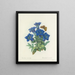 Keuze van de mooiste bloemen pl 112 - Pierre-Joseph Redouté — ingelijst kunstwerk aan de muur