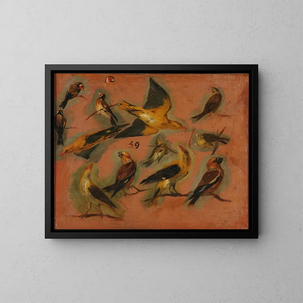 Goldfinches birds - Pieter Boel — framed artwork on a wall