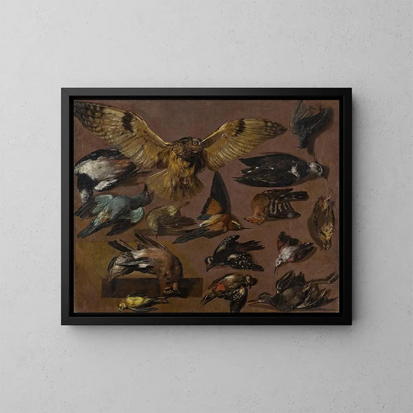 Études d'une chouette et d'autres oiseaux - Pieter Boel — framed artwork on a wall