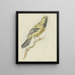 Loriot geel Icterus nigrogularis - Pieter Gevers — ingelijst kunstwerk aan de muur