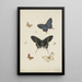 Cinq papillons et trois insectes - Pieter Withoos — ingelijst kunstwerk aan de muur