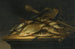 Natuurschilderij met visnetten, visuitrusting en mes op een tafel - Pieter de Putter — weergave van het kunstwerk
