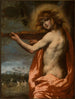 Apollon - Pietro della Vecchia — weergave van het kunstwerk