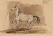 Arabisch Grijs Paard Obeian - Piotr Michałowski — weergave van het kunstwerk