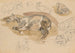 Studies en schetsen van galopperende paarden - Piotr Michałowski — weergave van het kunstwerk