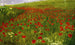Prairie avec des coquelicots - Pál Szinyei Merse — weergave van het kunstwerk