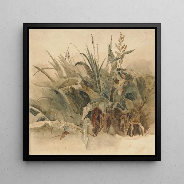 Plantes aquatiques - Peter De Wint