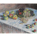 Reproduction of the painting Apples and grapes - Claude Monet