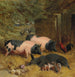 van Berkshire varkens en kippen in een binnenplaats met hooi - John Frederick Herring Snr — weergave van het kunstwerk