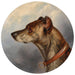 Portret van ronde hond - Carl Reichert — weergave van het kunstwerk