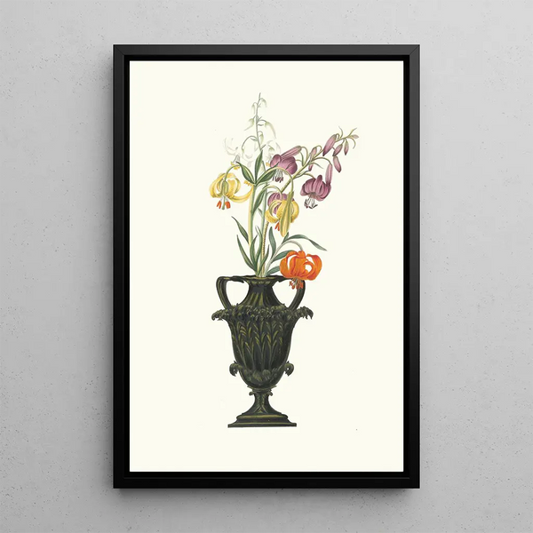 Lilium Pomponium Lilium Chalcedonicum - Priscilla Susan Bury — framed artwork on a wall