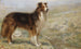 Pendant que le chien se repose, le berger peut dormir - R. S. Moseley — weergave van het kunstwerk