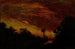Schemering - Ralph Albert Blakelock — weergave van het kunstwerk
