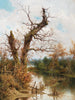 Oud boom aan de rand van de beek - Ramon Tusquets — weergave van het kunstwerk