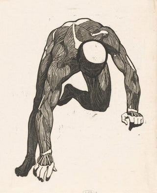Reijer Stolk - Anatomical study of the neck arm and leg muscles of a man Reijer Stolk.webp