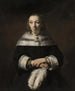 Portret van een dame met een veren waaier - Rembrandt van Rijn — weergave van het kunstwerk