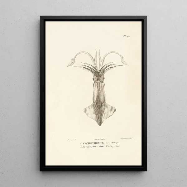 Centurie zoologique Pl17 - René Primevère Lesson — framed artwork on a wall