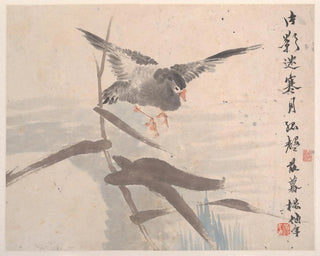 Ren Yi - Animals Flowers and Birds Pl8.webp