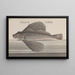 Histoire Naturelle de Saint-Domingue Pl076 - René de Rabi — ingelijst kunstwerk aan de muur