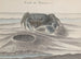 Histoire naturelle de Saint-Domingue, Pl. 120 - René de Rabi — weergave van het kunstwerk