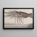 Histoire naturelle de Saint-Domingue Pl133 - René de Rabi — ingelijst kunstwerk aan de muur