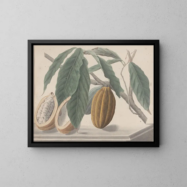 Histoire naturelle de Saint-Domingue Pl136 - René de Rabi — ingelijst kunstwerk aan de muur