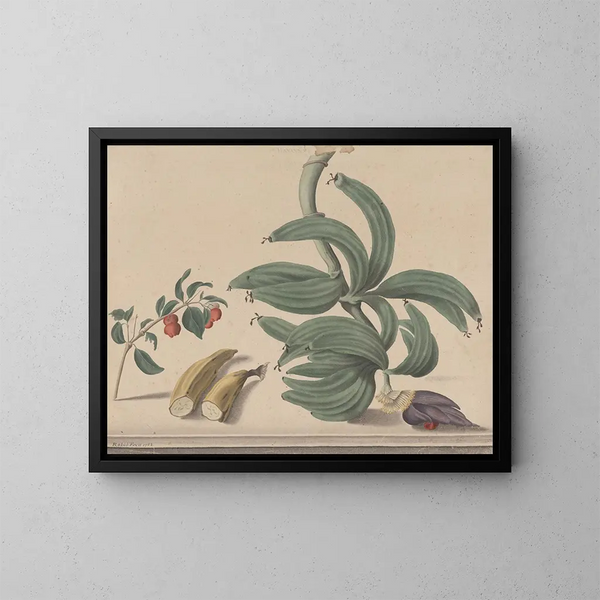 Natuurhistorie van Saint-Domingue Pl137 - René de Rabi — ingelijst kunstwerk aan de muur