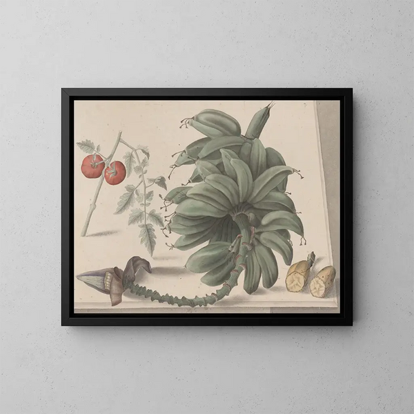 Natuurhistorie van Saint-Domingue Pl138 - René de Rabi — ingelijst kunstwerk aan de muur