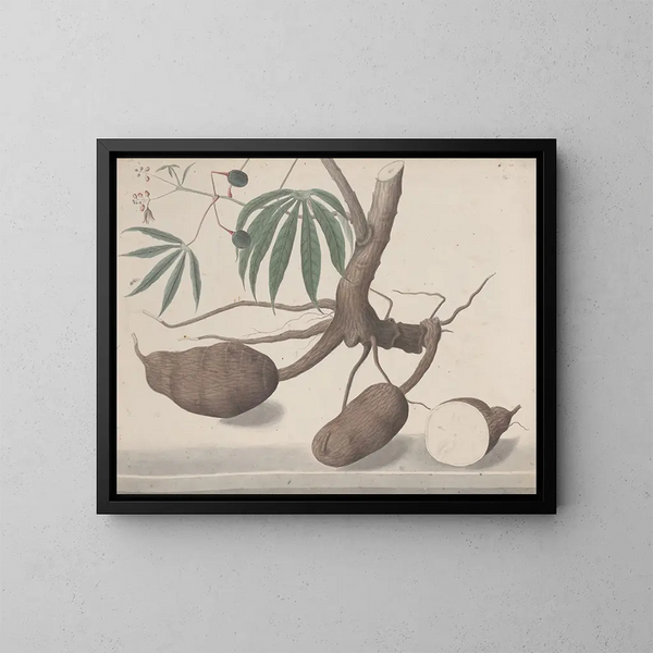 Natuurhistorie van Saint-Domingue Pl147 - René de Rabi — ingelijst kunstwerk aan de muur