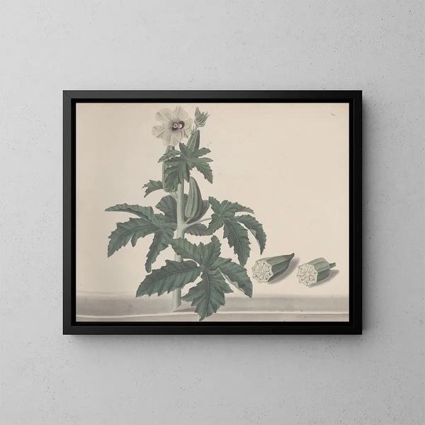 Natuurhistorie van Saint-Domingue Pl151 - René de Rabi — ingelijst kunstwerk aan de muur