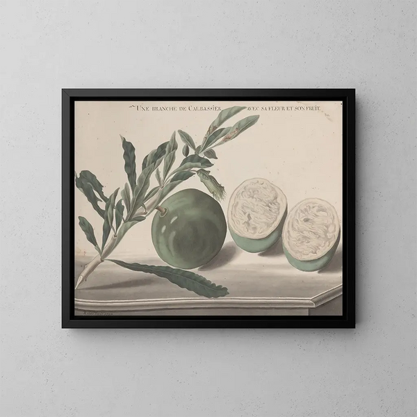 Natuurhistorie van Saint-Domingue Pl161 - René de Rabi — ingelijst kunstwerk aan de muur