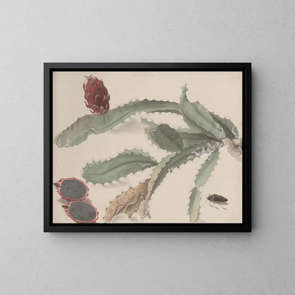 Natuurhistorie van Saint-Domingue Pl174 - René de Rabi — ingelijst kunstwerk aan de muur