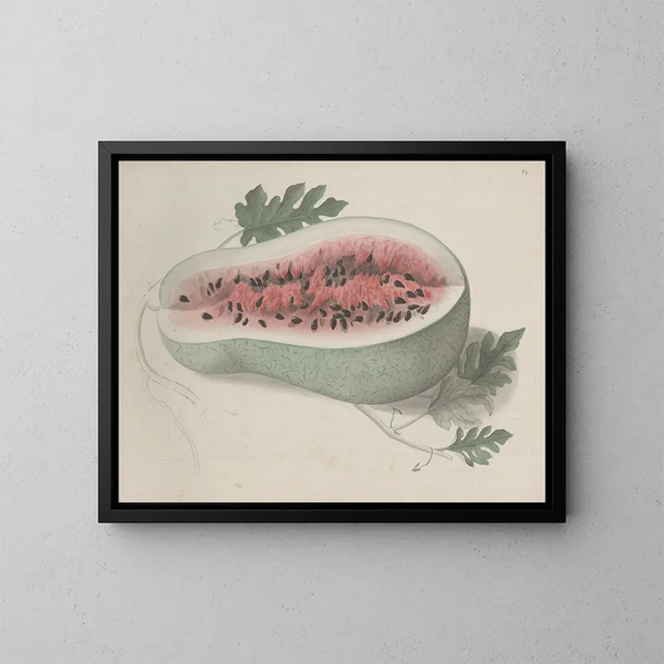 Geschiedenis van de Natuur van Saint-Domingue Pl190 - René de Rabi — ingelijst kunstwerk aan de muur