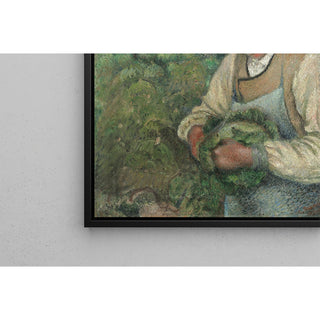 Reproduction Le jardinier - Vieux paysan au chou - Camille Pissarro