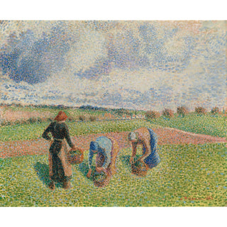 Reproduction Paysannes Ramassant des Herbes, Éragny - Camille Pissarro