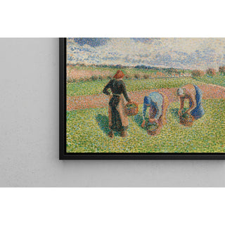 Reproduction Paysannes Ramassant des Herbes, Éragny - Camille Pissarro