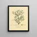 Libyan Lotus — Richard Duppa — framed botanical print on a wall