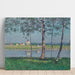 Reproductie van het schilderij Rive de la Seine bij Petit-Gennevilliers - Gustave Caillebotte