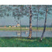 Reproductie van het schilderij Rive de la Seine bij Petit-Gennevilliers - Gustave Caillebotte