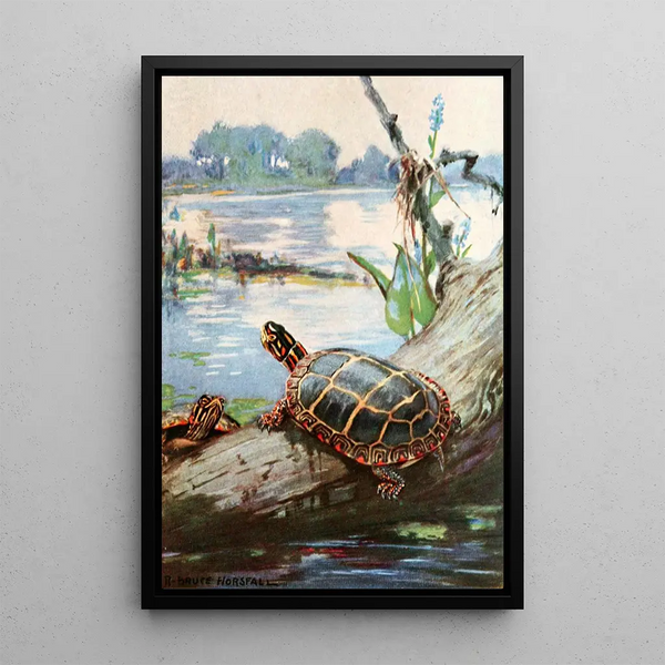 La tortue peinte - Robert Bruce Horsfall — ingelijst kunstwerk aan de muur