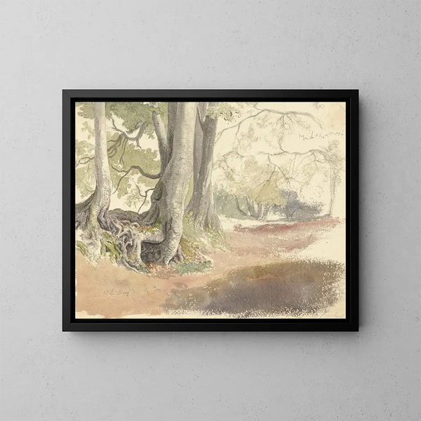 Beech Trees - Robert Hills — framed artwork on a wall