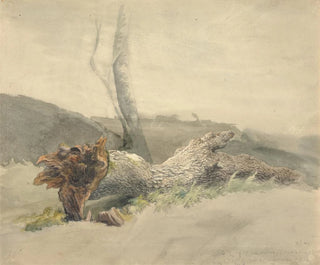 Robert Hills - The Fallen Tree.webp