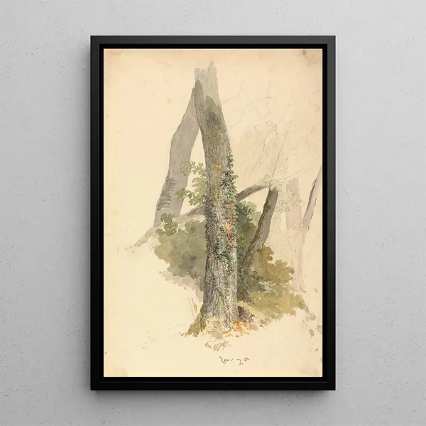 Study of a tree with climbing ivy on a log - Robert Hills — framed artwork on a wall