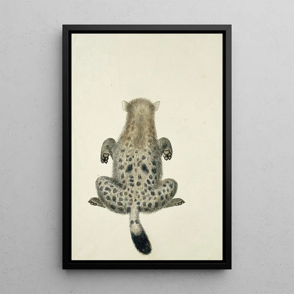 Crocuta crocuta, hyène tachetée - Robert Jacob Gordon — framed artwork on a wall